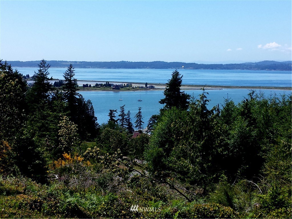 701 Rum Runner Road Lopez Island, WA 98261 - Photo 2 of 5 Gallery Image 2