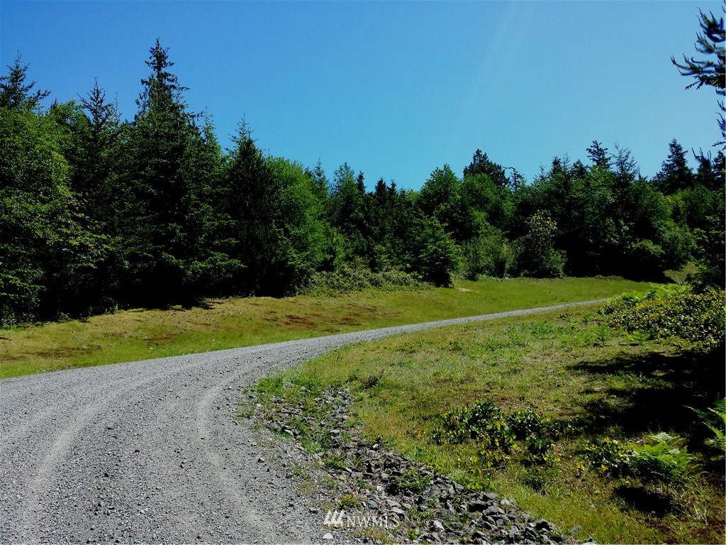 701 Rum Runner Road Lopez Island, WA 98261 - Photo 3 of 5 Gallery Image 3