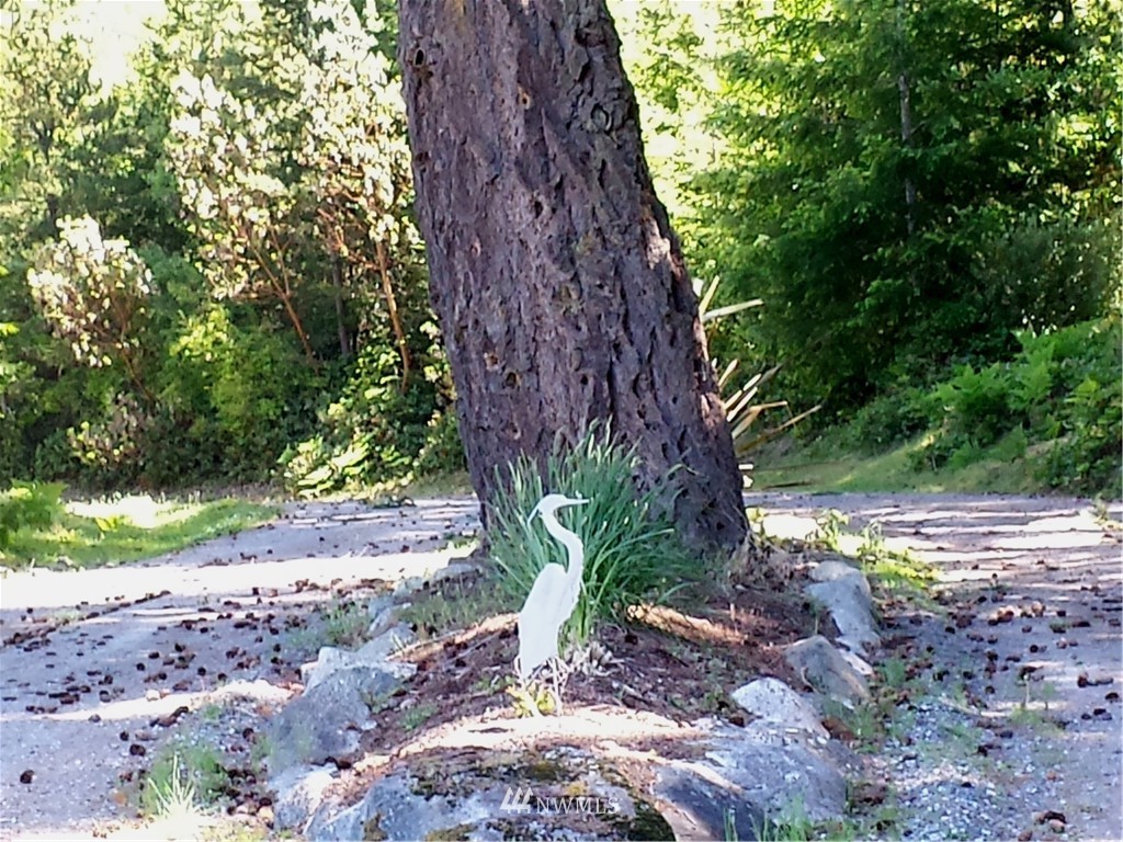 701 Rum Runner Road Lopez Island, WA 98261 - Photo 4 of 5 Gallery Image 4