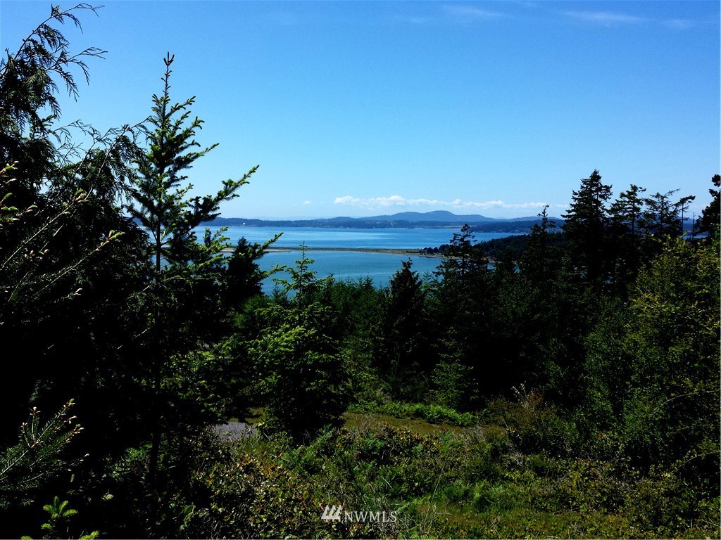 701 Rum Runner Road Lopez Island, WA 98261 - Photo 5 of 5 Gallery Image 5