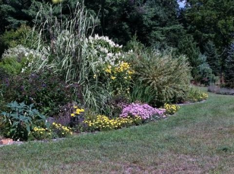 1560 Benjamin Road Muskegon, MI 49445 - Photo 2 of 21 Garden.jpg