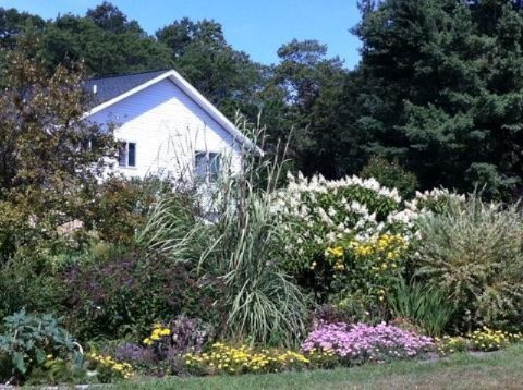 1560 Benjamin Road Muskegon, MI 49445 - Photo 3 of 21 Garden2.jpg