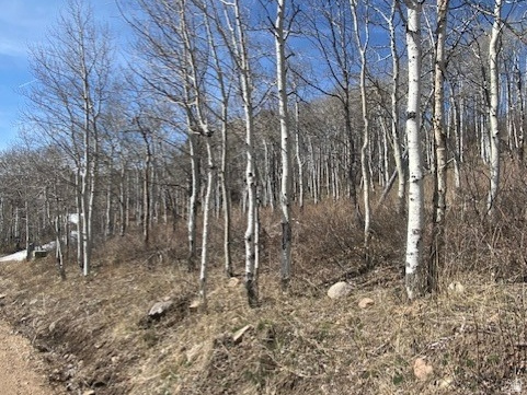 2604 South Forest Meadow Road, Unit C82 Coalville, UT 84017 - Photo 17 of 27 View of local wilderness