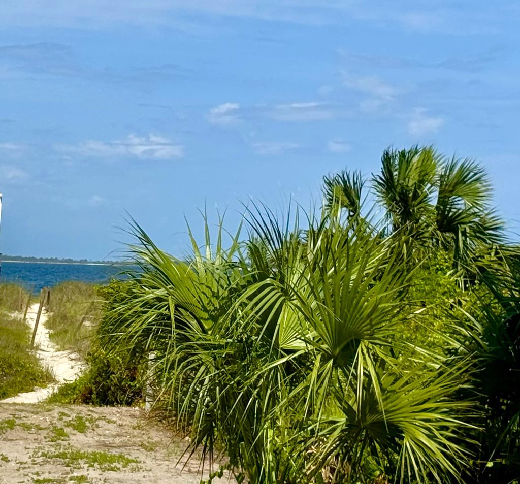 151 Beach Street Port St. Joe, FL 32456 - Photo 25 of 29