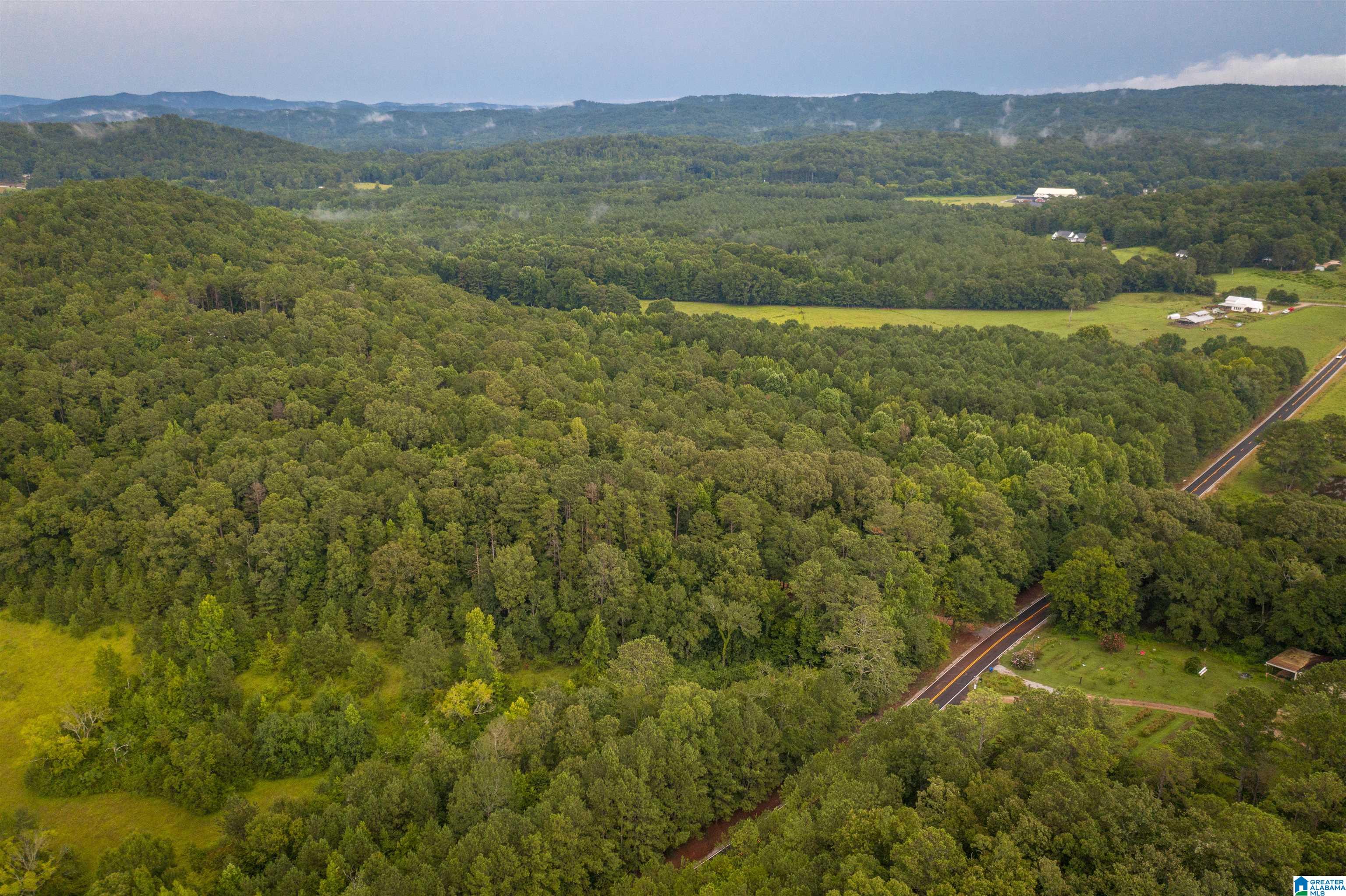 0 Iron City Cutoff Road, Unit 4 Anniston, AL 36207 - Photo 15 of 19