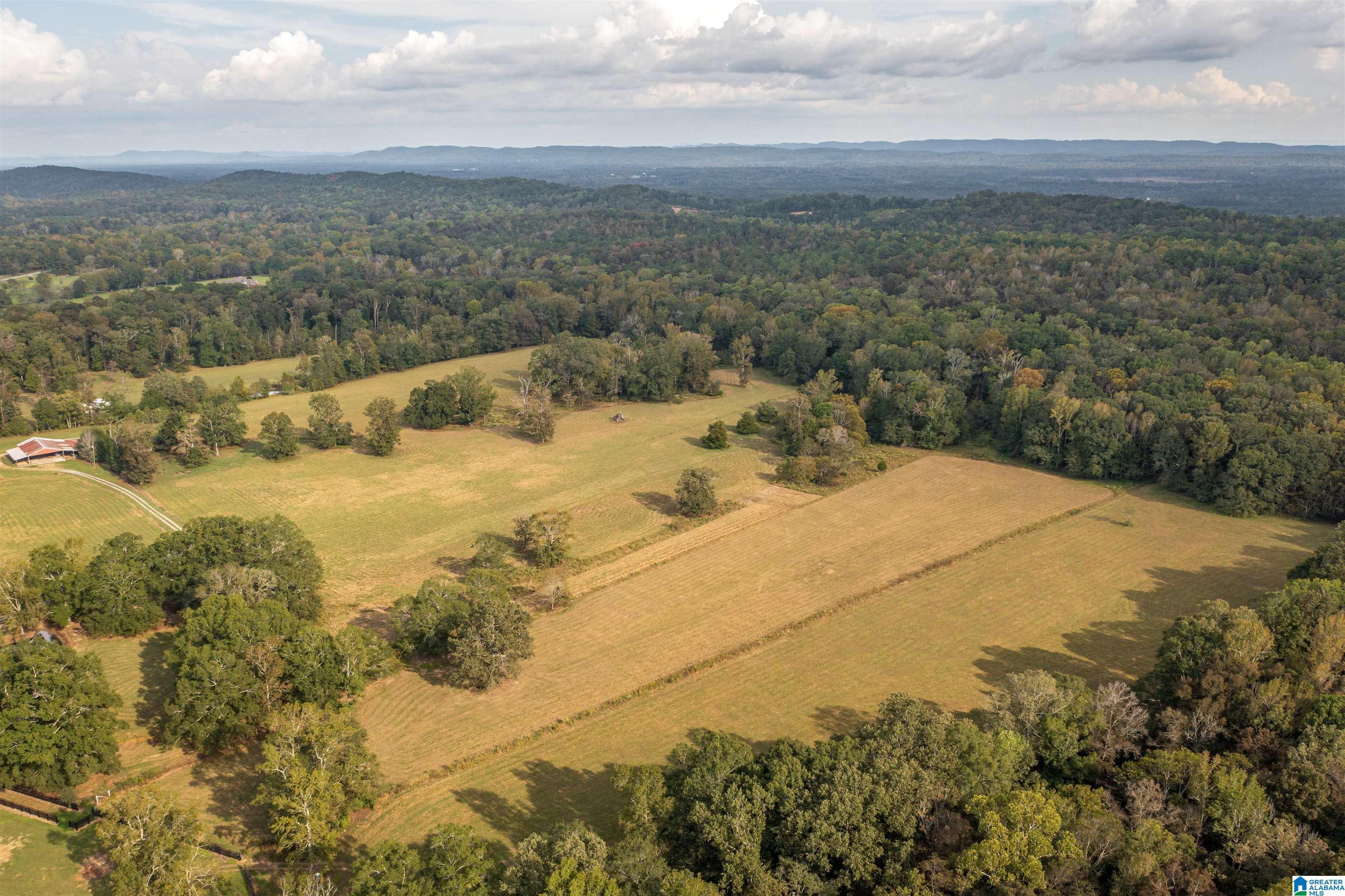 4892 Crawford Cove Road Springville, AL 35146 - Photo 30 of 50