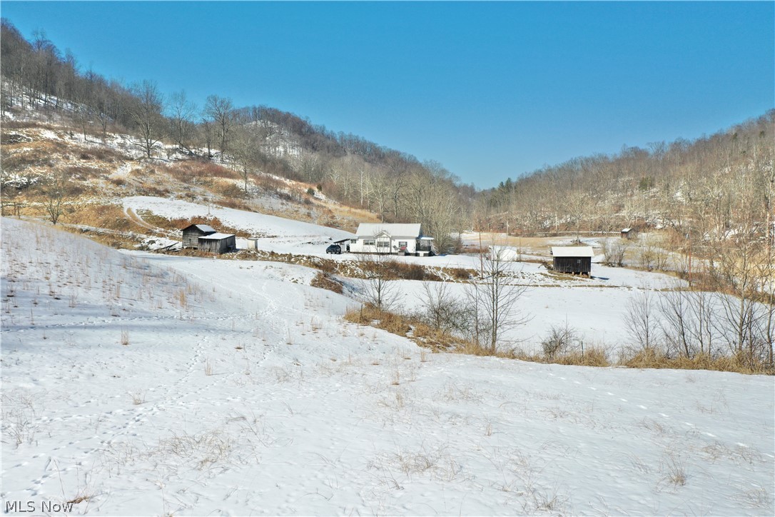 1296 Walker Creek Road Chloe, WV 25235 - Photo 41 of 50 Gallery Image 41
