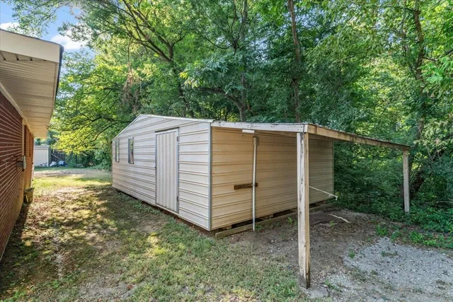 a view of a backyard with plants and large tree