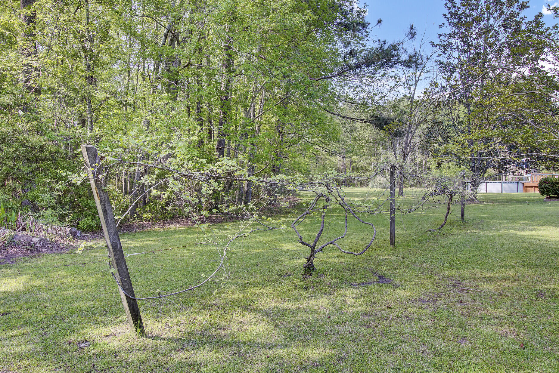337 Washington Town Road Summerville, SC 29486 - Photo 14 of 49 25_25_mls
