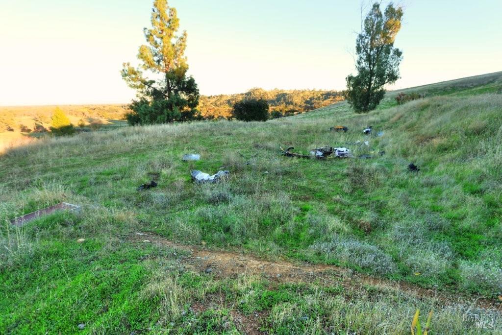 8588 Pleasants Valley Road Winters, CA 95694 - Photo 4 of 18 a view of a lush green forest with trees and houses