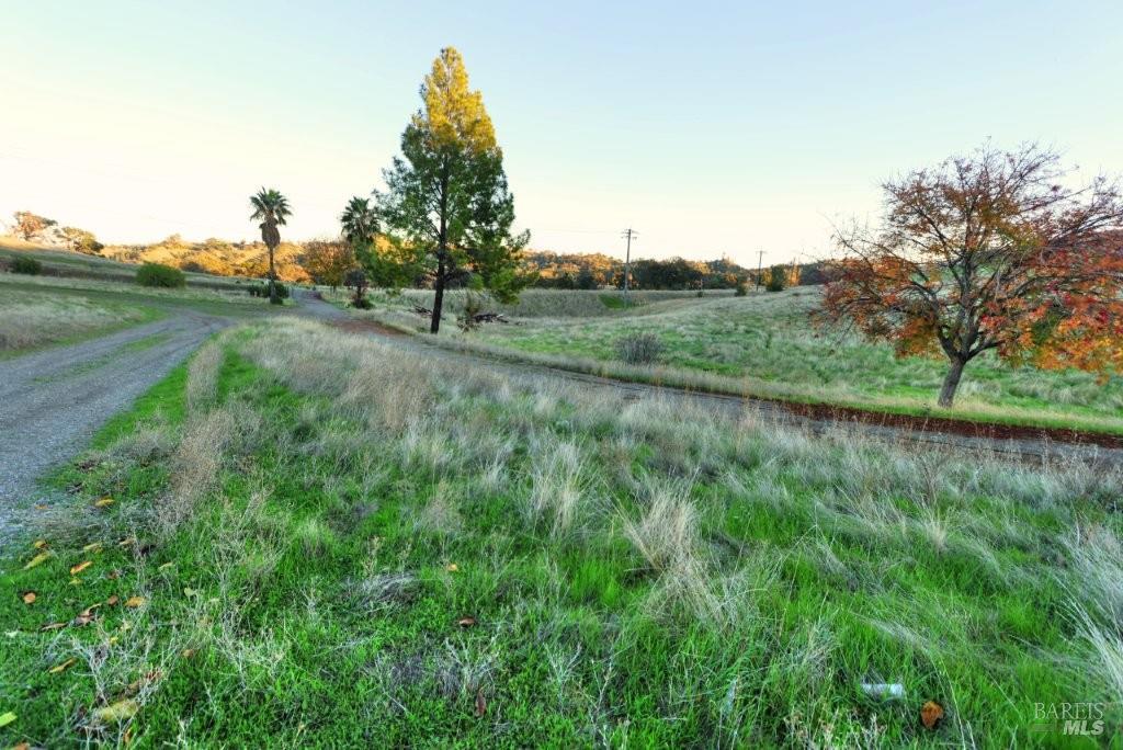 8588 Pleasants Valley Road Winters, CA 95694 - Photo 9 of 18 a view of a lush green space with sea