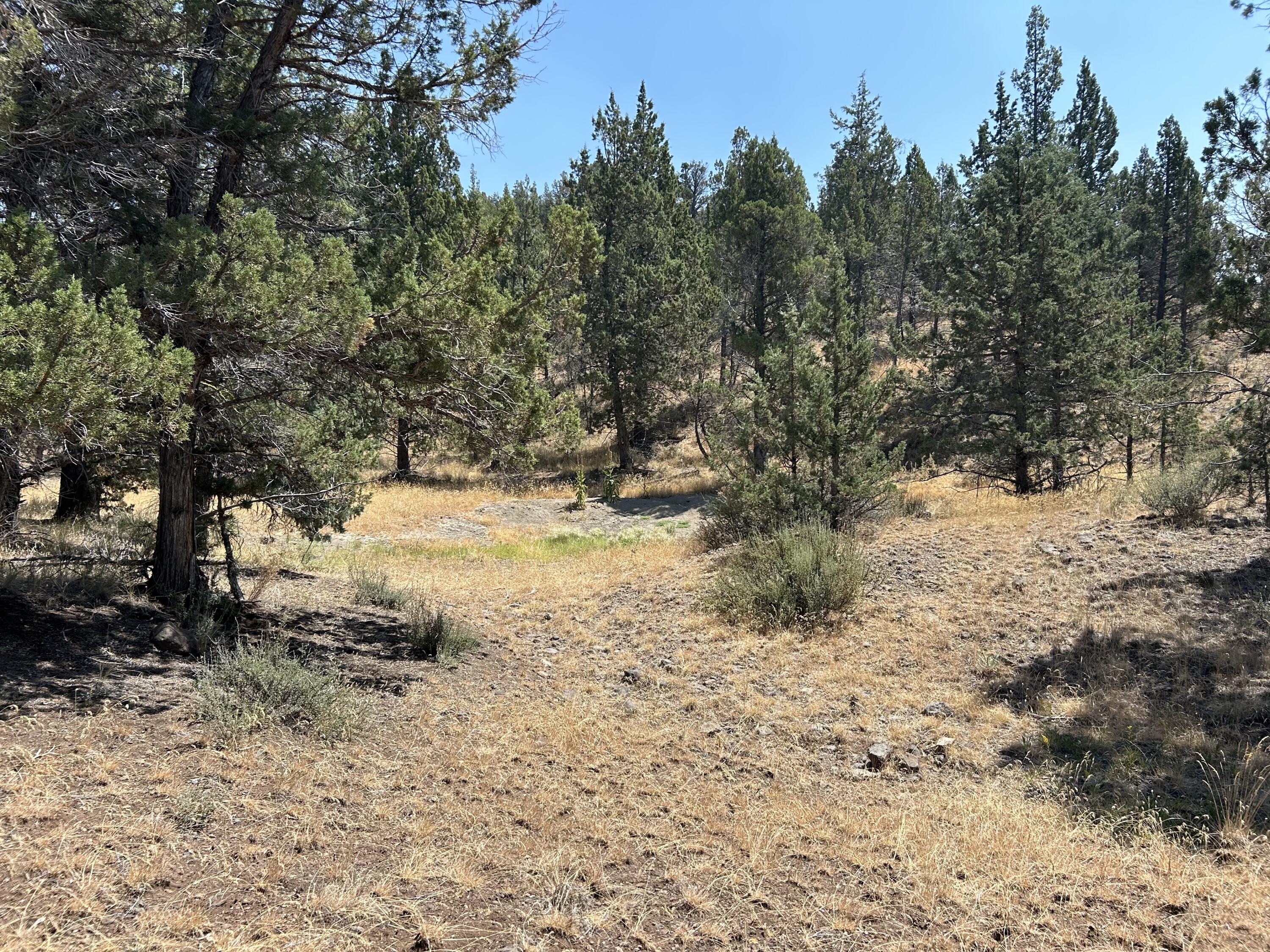 1900 Simpson Road Prineville, OR 97754 - Photo 6 of 7 IMG_5159