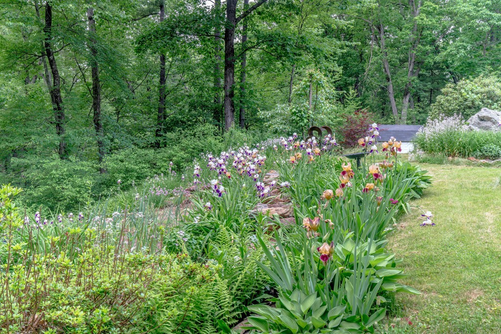 56 Woodside Road Harvard, MA 01451 - Photo 29 of 30