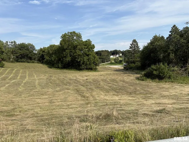a view of a field of grass and trees