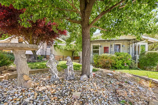 a view of a house with a small yard plants and a large tree