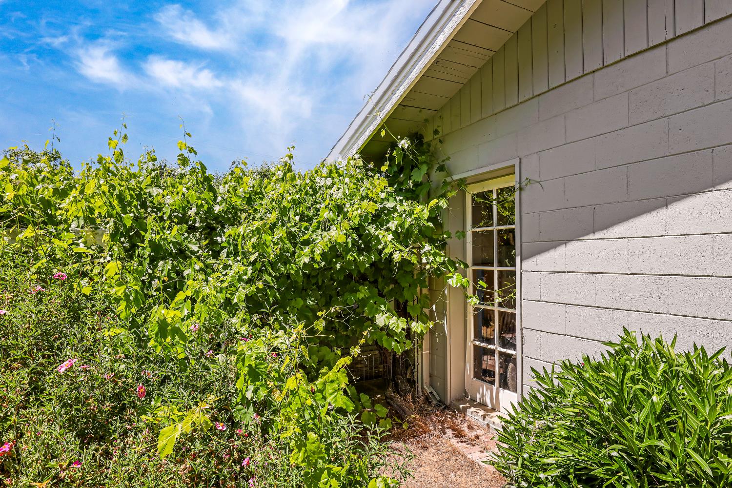 457 Russells Road San Andreas, CA 95249 - Photo 50 of 76