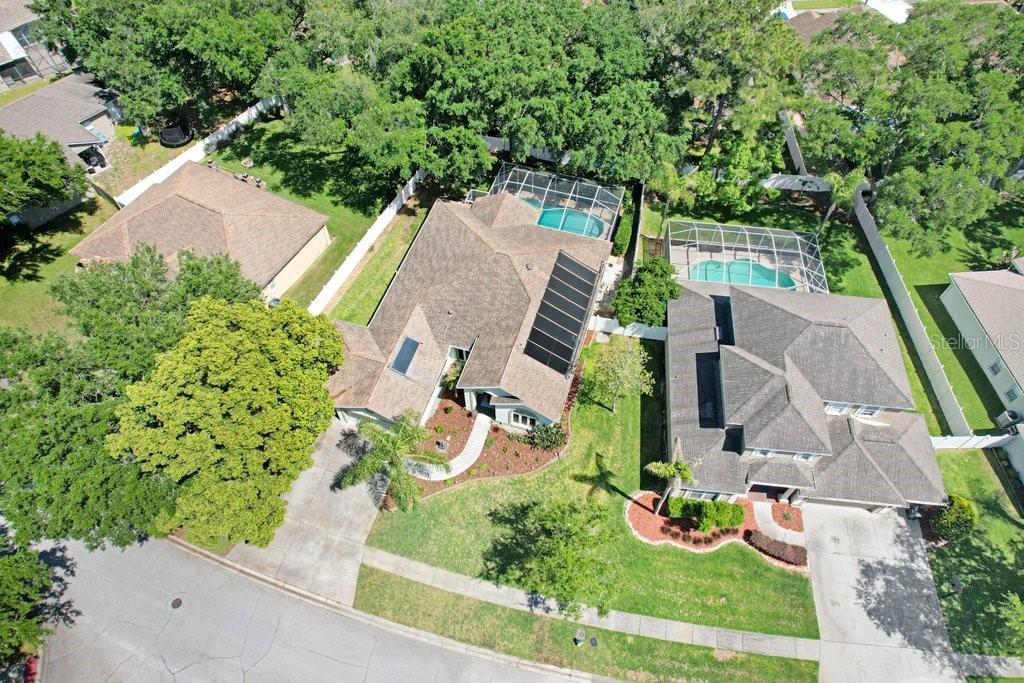 3026 Partridge Point Trail Valrico, FL 33596 - Photo 5 of 55