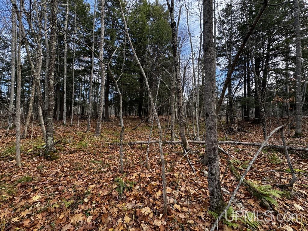 Tbd Skanee Road Skanee, MI 49962 - Photo 14 of 24 Gallery Image 14