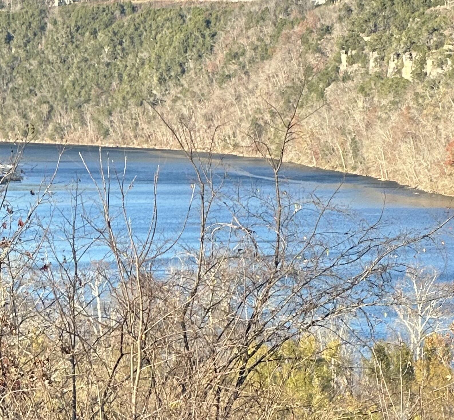 1985 Mountain Grove Road Branson, MO 65616 - Photo 1 of 2 What A View!