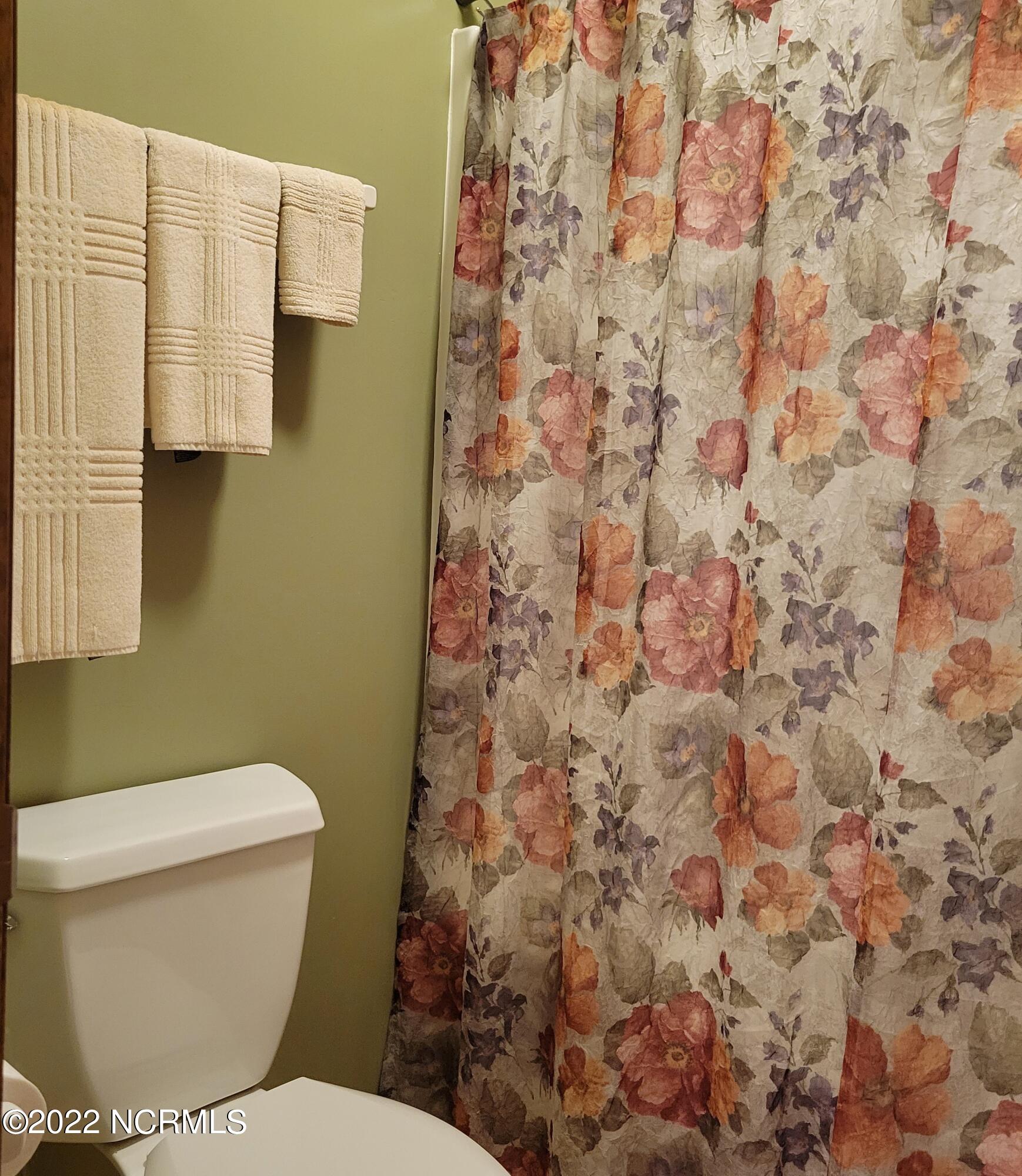 122 Cyrus Pollard Road Newport, NC 28570 - Photo 32 of 53 Full Bath Hall