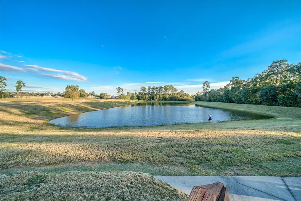 22739 Highland Maple Court Spring, TX 77373 - Photo 46 of 48 a view of a yard with an ocean