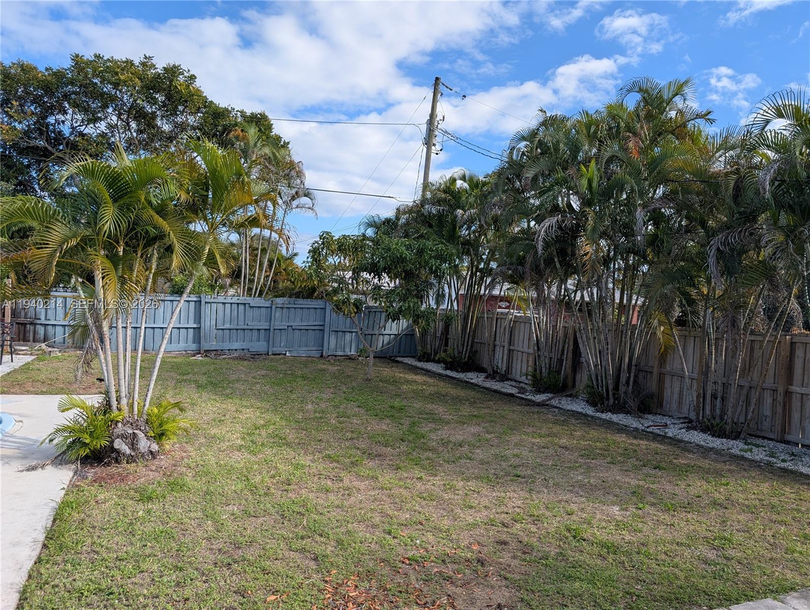 311 Southwest 2nd Avenue, Unit 1 Dania Beach, FL 33004 - Photo 13 of 14 a view of backyard with tree