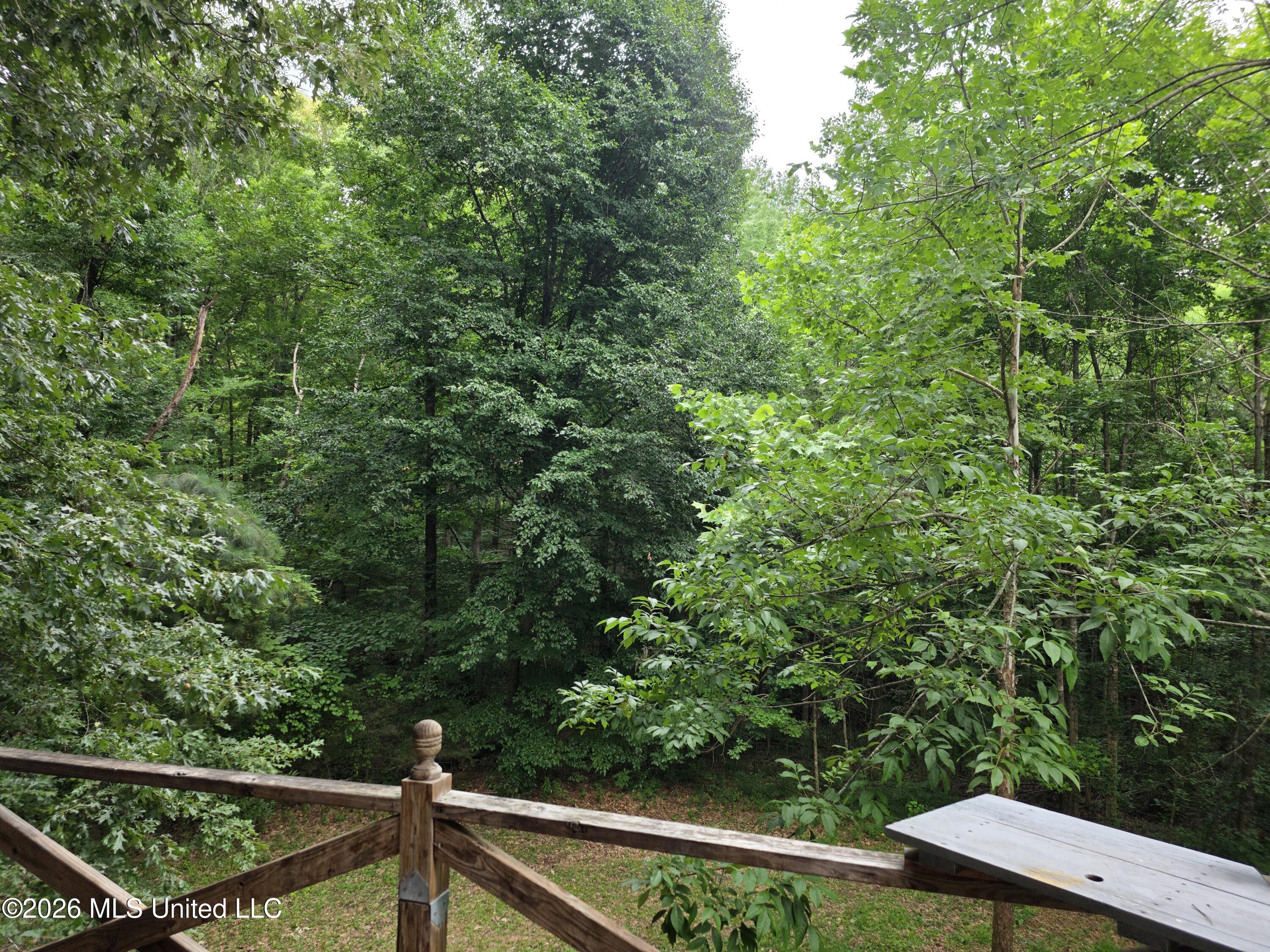2025 Hendrix Road Coffeeville, MS 38922 - Photo 23 of 27 Backyard