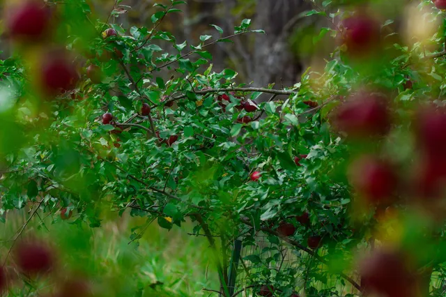 $119,500 | 3108 Blackbird Road Northeast, Cass Lake, MN 56633