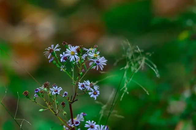 $119,500 | 3108 Blackbird Road Northeast, Cass Lake, MN 56633