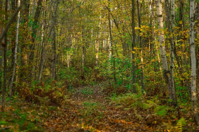 $119,500 | 3108 Blackbird Road Northeast, Cass Lake, MN 56633