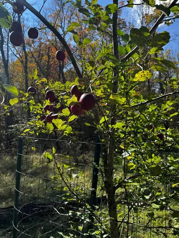 $119,500 | 3108 Blackbird Road Northeast, Cass Lake, MN 56633