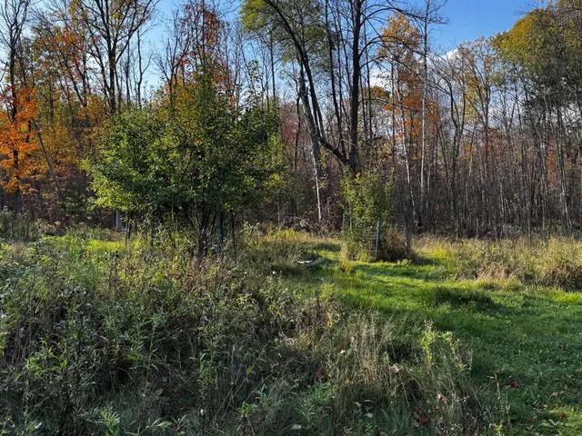 $119,500 | 3108 Blackbird Road Northeast, Cass Lake, MN 56633