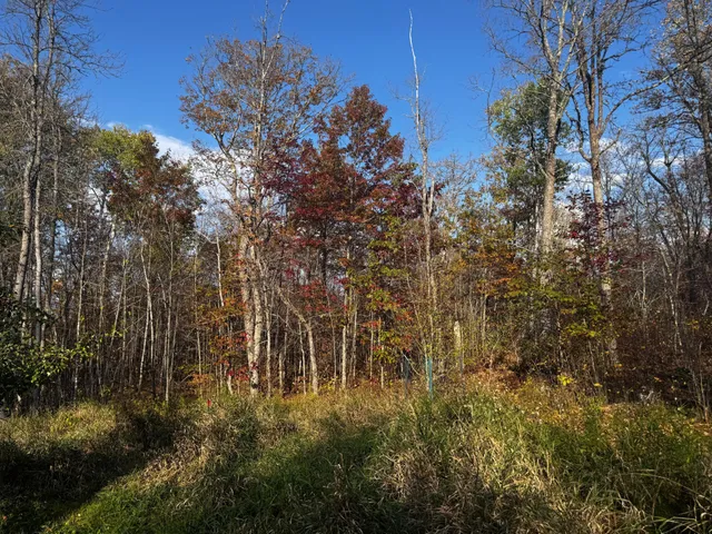 $119,500 | 3108 Blackbird Road Northeast, Cass Lake, MN 56633