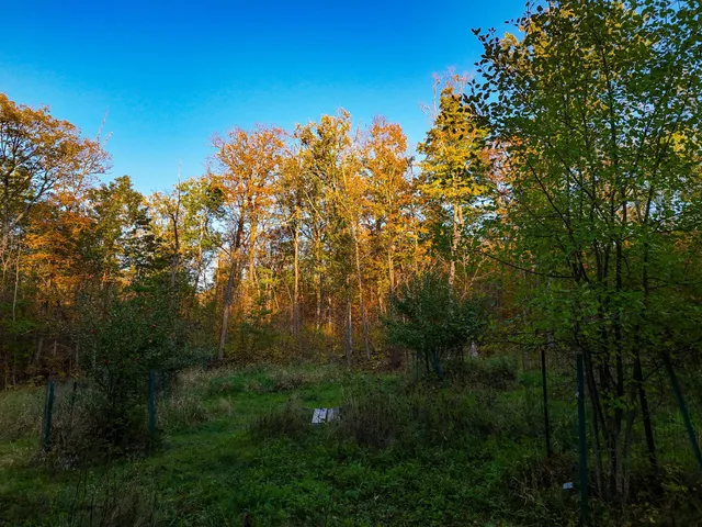 $119,500 | 3108 Blackbird Road Northeast, Cass Lake, MN 56633