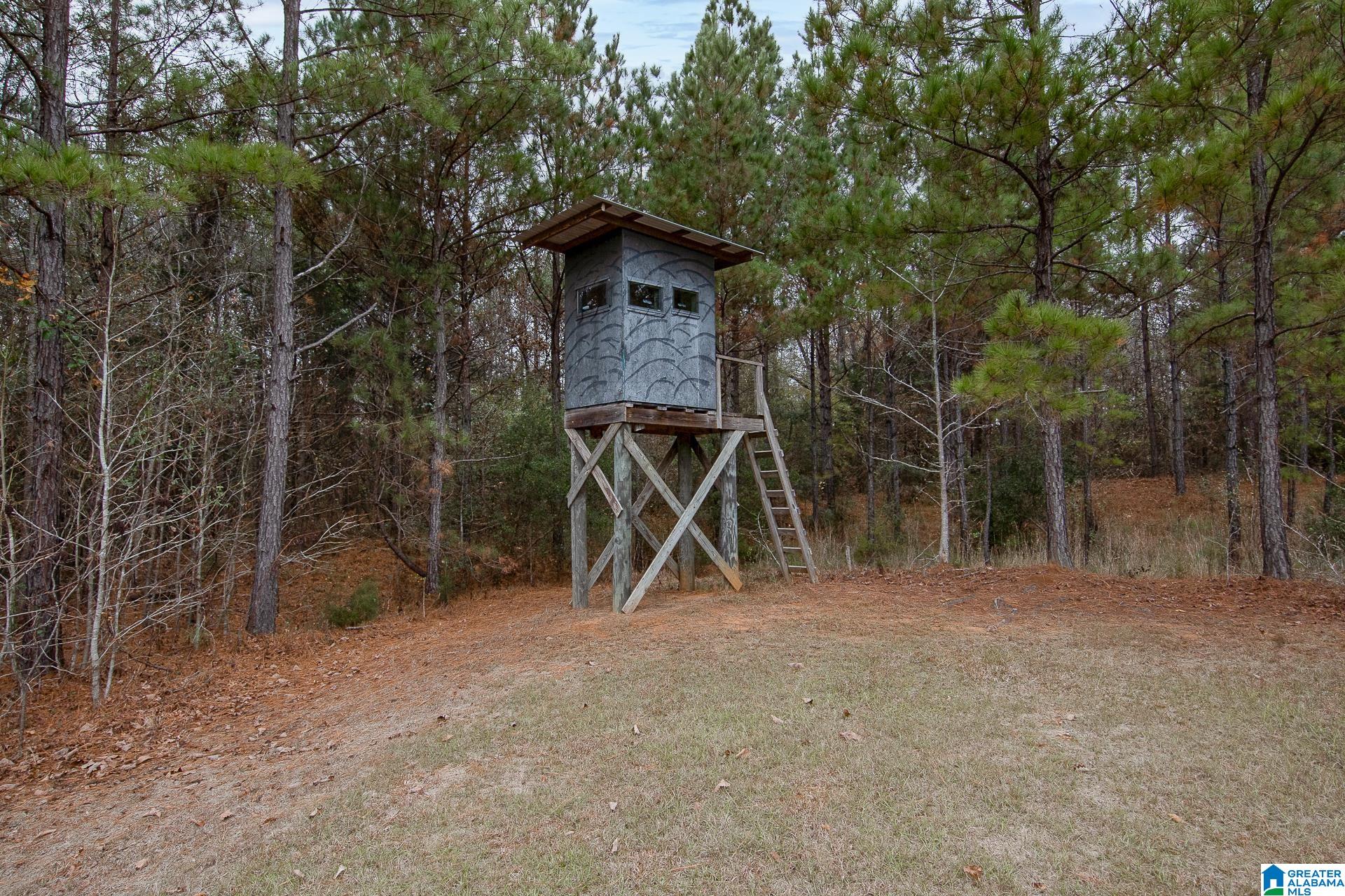 1444 Thrasher Road Sawyerville, AL 36776 - Photo 38 of 47