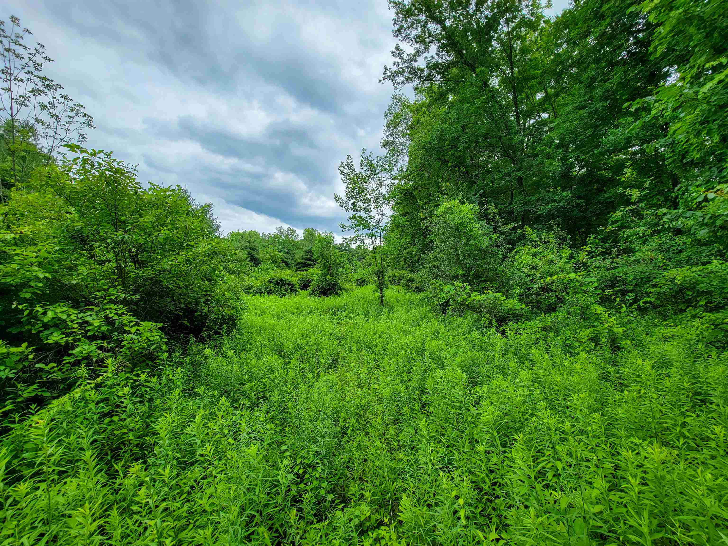 399 Bard Road Bennington, VT 05201 - Photo 50 of 60 Gallery Image 50