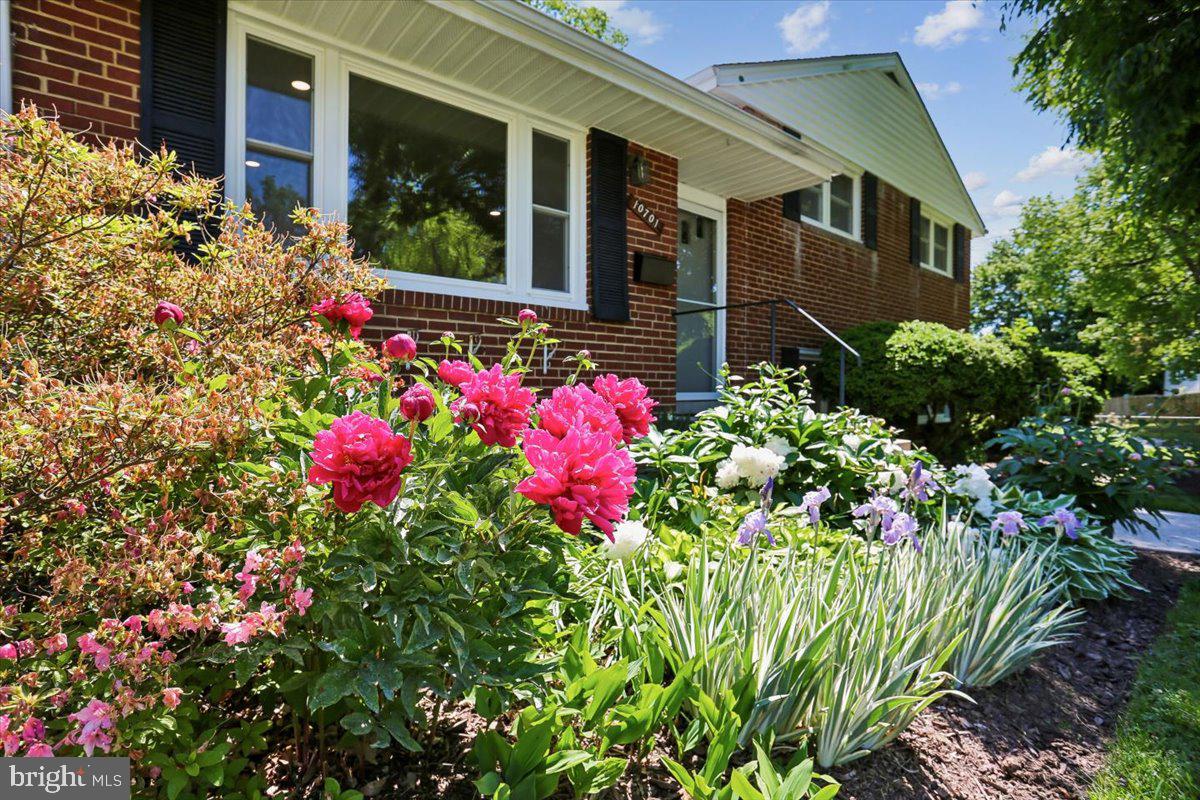 10701 Brunswick Avenue Silver Spring, MD 20902 - Photo 42 of 50 Vibrant Plantings