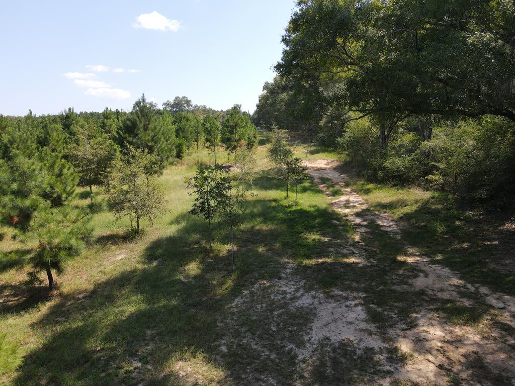 1454 Middleton Road Dothan, AL 36301 - Photo 7 of 21