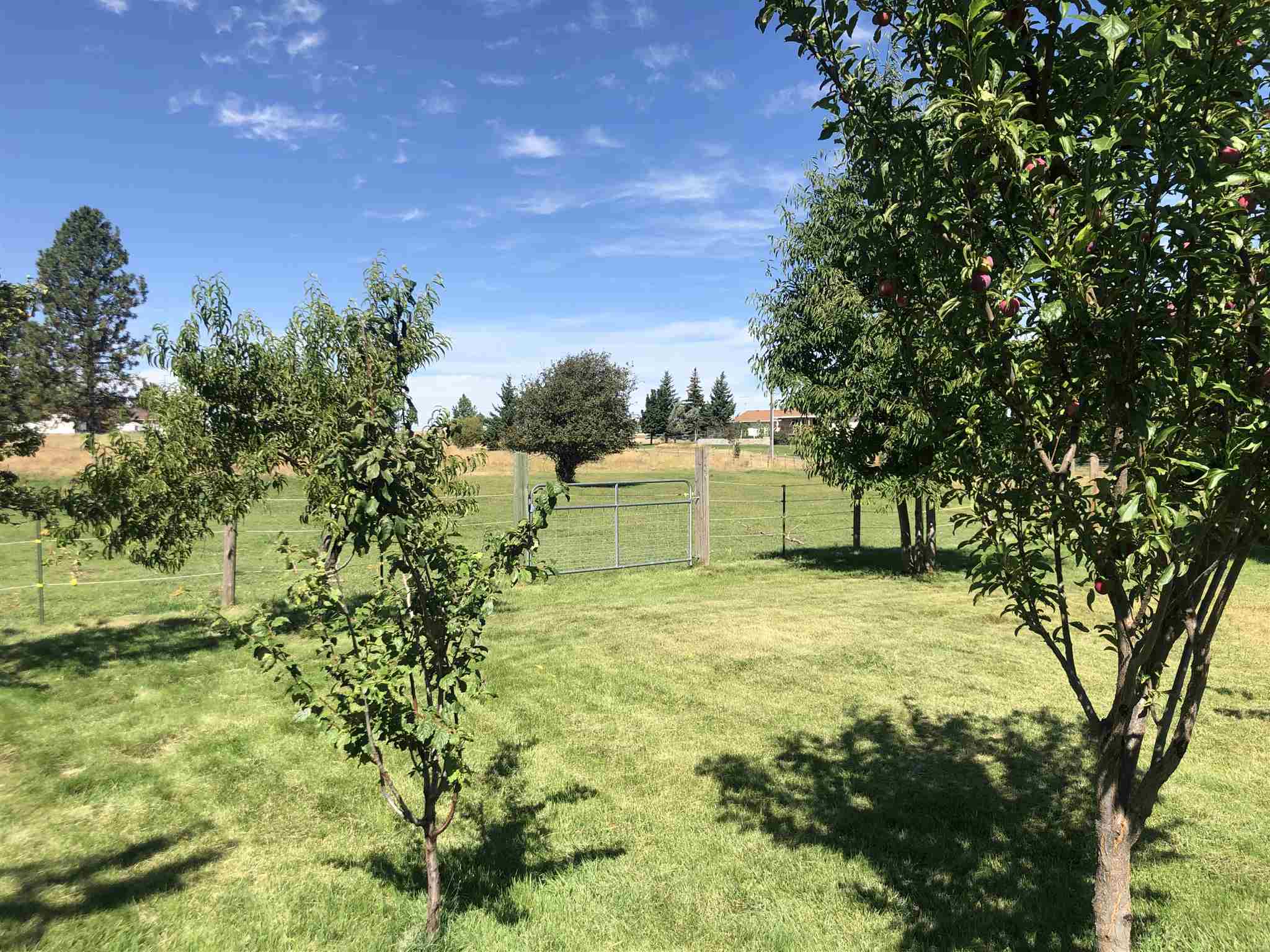 8221 South Brayton Road Medical Lake, WA 99022 - Photo 24 of 28 Gallery Image 24
