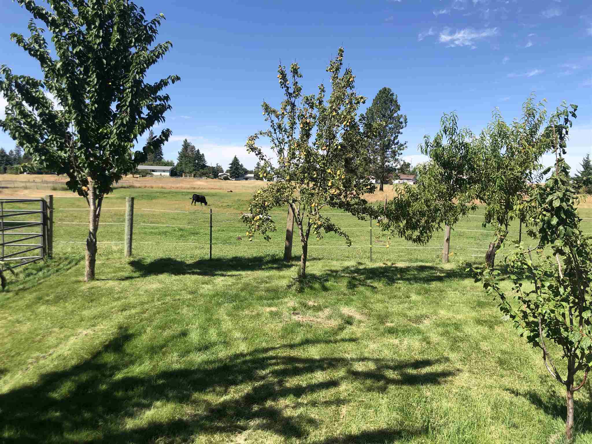8221 South Brayton Road Medical Lake, WA 99022 - Photo 25 of 28 Gallery Image 25