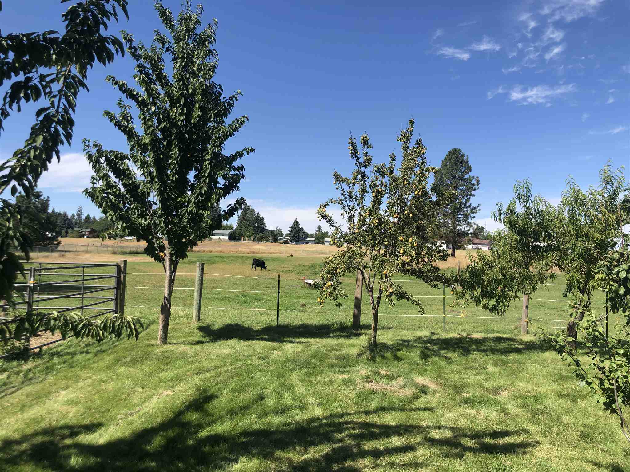 8221 South Brayton Road Medical Lake, WA 99022 - Photo 27 of 28 Gallery Image 27