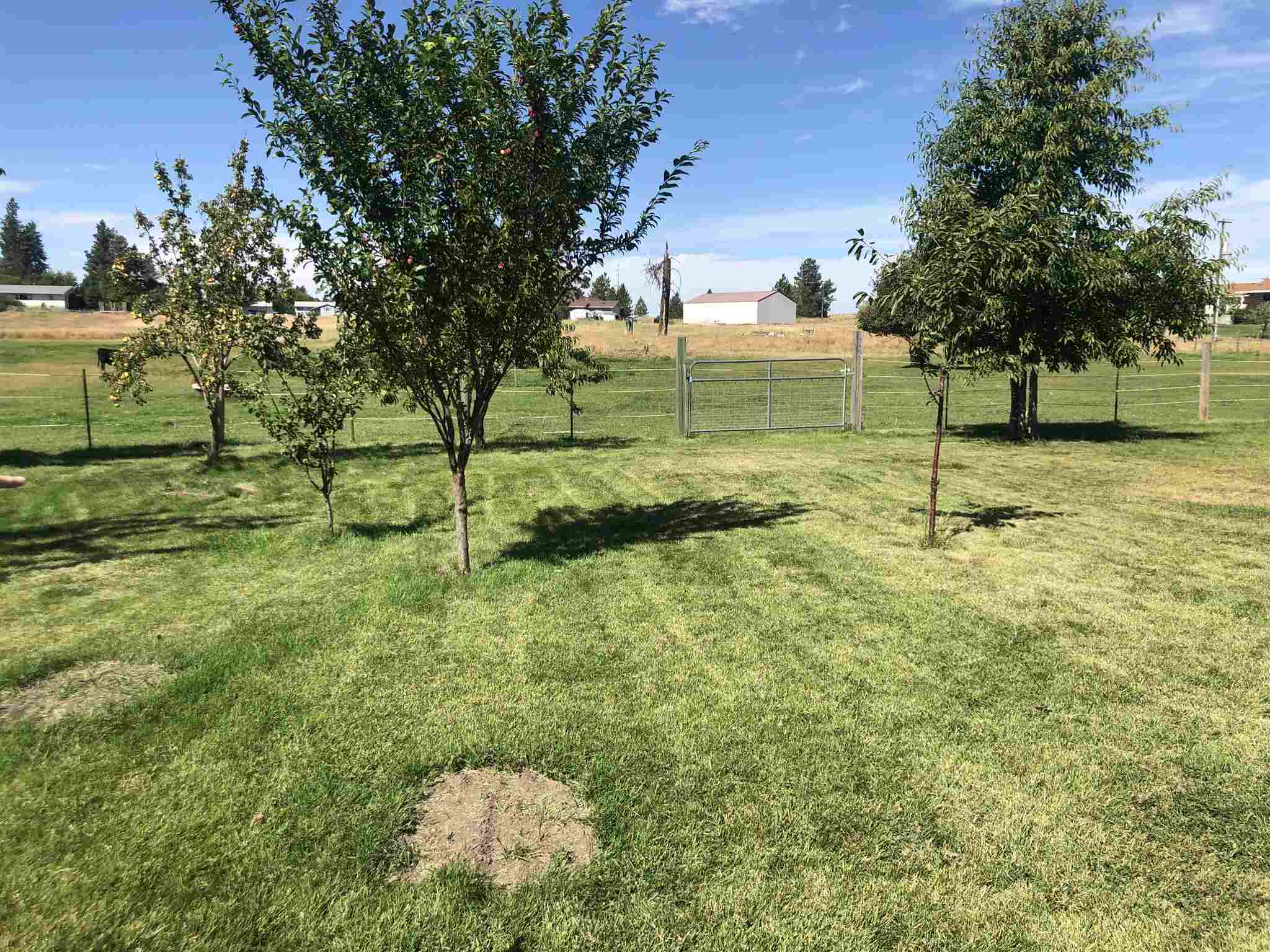 8221 South Brayton Road Medical Lake, WA 99022 - Photo 28 of 28 Gallery Image 28