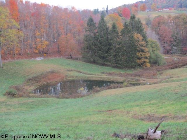 1736 Porterfield Road Philippi, WV 26416 - Photo 15 of 20 Gallery Image 15