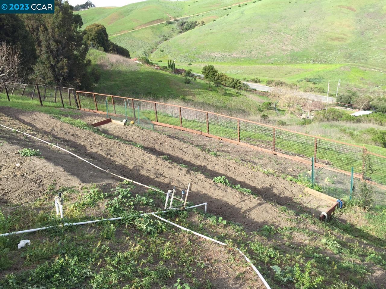 269 Birchwood Drive Moraga, CA 94556 - Photo 27 of 43 a view of a backyard