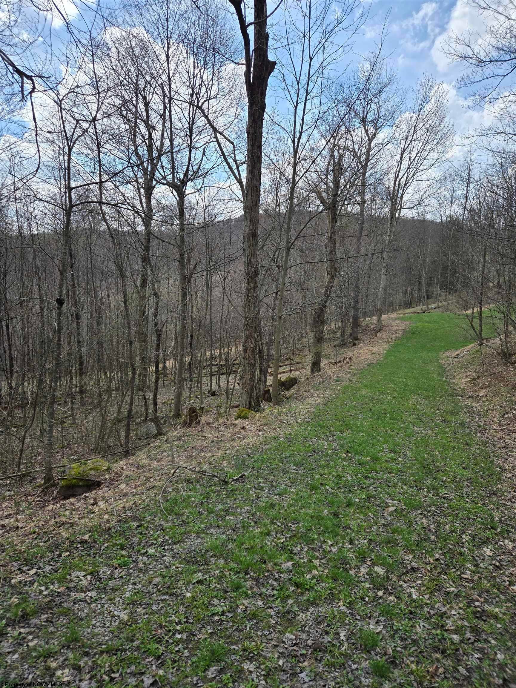 0 Cupps Run Road Terra Alta, WV 26764 - Photo 7 of 7 Gallery Image 7
