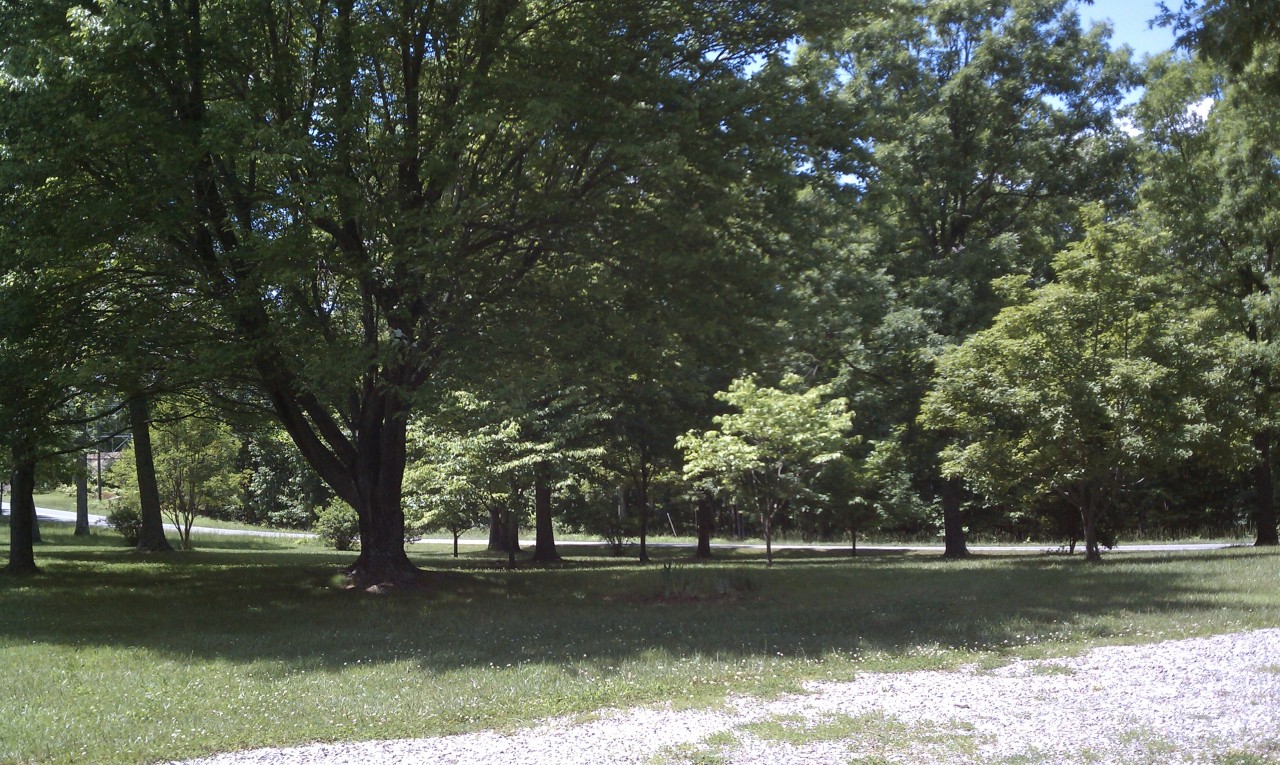 1248 Trading Post Road Huddleston, VA 24104 - Photo 3 of 18 Awesome lawn