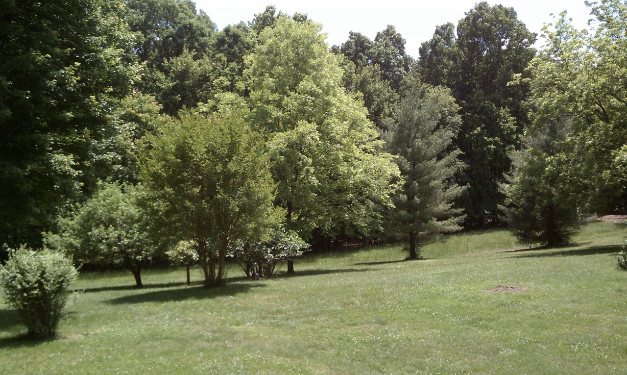1248 Trading Post Road Huddleston, VA 24104 - Photo 4 of 18 Lawn