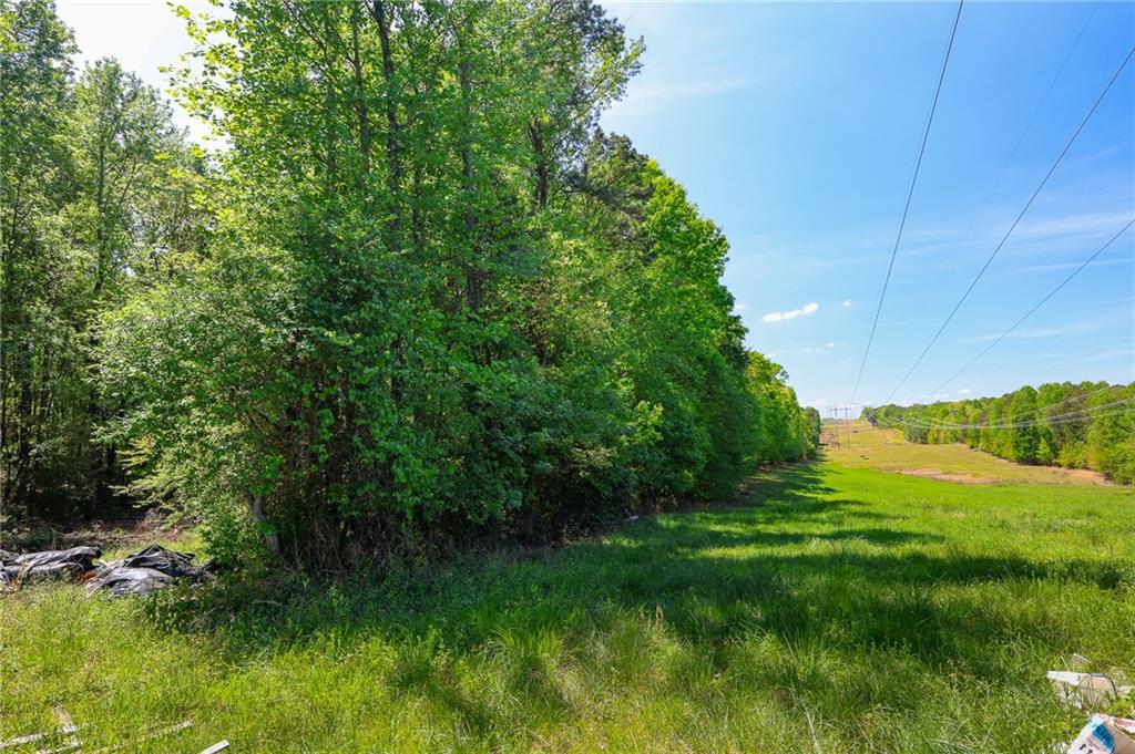 0 Pritchett Road Lula, GA 30554 - Photo 6 of 10 a view of yard with green space