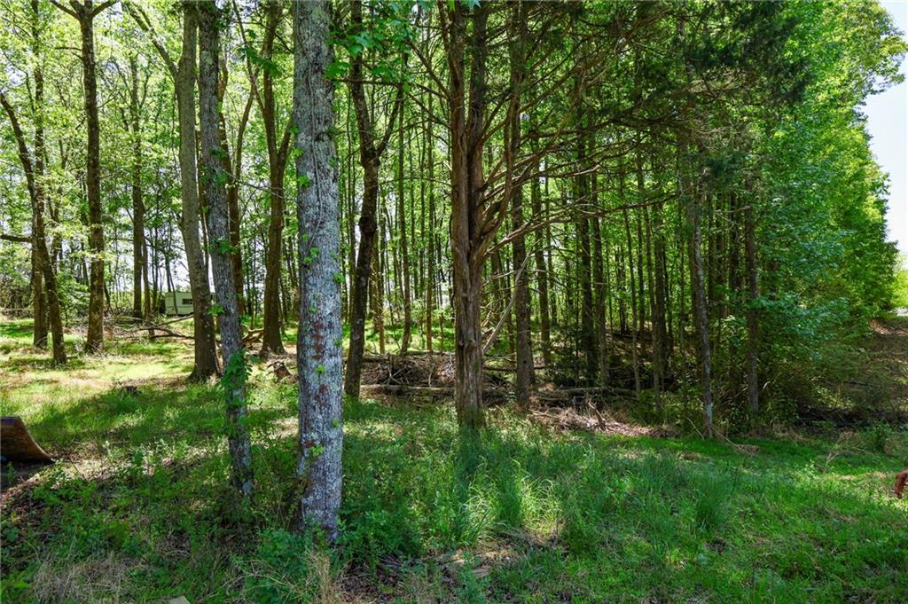 0 Pritchett Road Lula, GA 30554 - Photo 7 of 10 a view of outdoor space and trees
