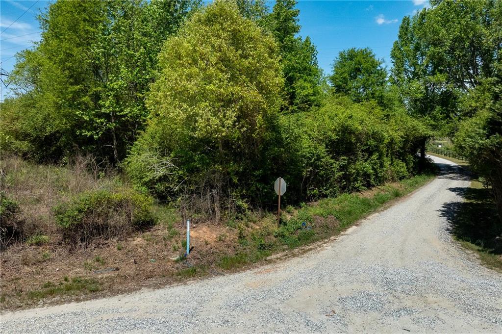 0 Pritchett Road Lula, GA 30554 - Photo 10 of 10 a view of a road with plants and trees